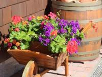 Superior One-Bedroom Apartment with Balcony