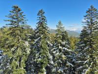 Apartman PineSky - B&B Bjelašnica