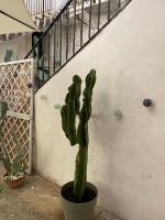 Casa Core - B&B Siracusa