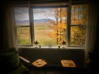 Belvidere Mountain Vista Home by Stowe Jay Peak Smuggs Long Trail - Chambres d'hôtes Belvidere Center