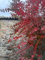 Residenza Il Castello Uno e Due - B&B Castell'Arquato