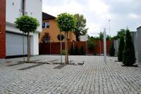 Magnolia Centrum - free parking - Bed and Breakfast Wrocław