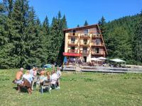 Cabana Saua Diham - B&B Pârâul Rece