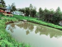 RETREAT MOUNTAIN CĂSUȚA TRADIȚIONALĂ,Roşia Montana - B&B Roșia Montană