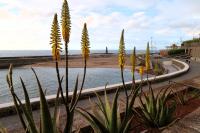 Achimencey apartment in Bajamar - B&B Bajamar