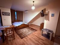 Central Mansard Studio - B&B Sofia