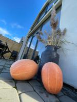 AgroReset CAŁOROCZNY - B&B Korlino