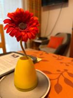 Doppel-/Zweibettzimmer mit Balkon