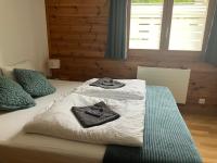 Large central apt with view - B&B Gryon