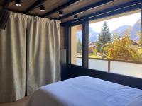 Quirlies 2 - Appartement de standing au pied des pistes 6 à 8 personnes - Chambres d'hôtes Les Deux Alpes