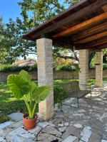 Salomonio hill - Bed and Breakfast Colle Farnese