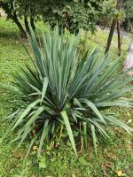 Apartman Dačo - B&B Vlasenica