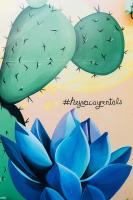 Fall Special! Squeeze the Day | Beach <1mi | 4plex - B&B St. Pete Beach