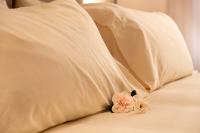 Angelic Alchemy - Historic Center - Bed and Breakfast Bologna