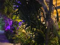 ROYAL VILLAGE inn Dhangethi Maldives - B&B Dhangethi