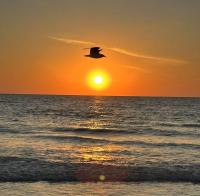 Twin Oaks Coastal Luxury - Bed and Breakfast Largo