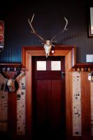 The Lodge - Lumsden - Bed and Breakfast Lumsden