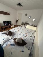 Apartament Chic - B&B Arad