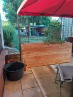 Apartment am Palmenhaus - B&B Bad Schönborn