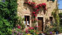 Alma Tuscany House - B&B Sant'Ermo
