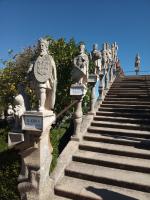 CITY CENTEr - B&B Castelo Branco