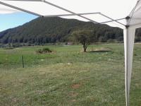 Chalet Vista Lago - B&B San Gregorio