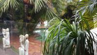 Ballina Palms Boutique Motel - B&B Ballina