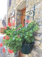 Casa Felipe Ordesa - B&B