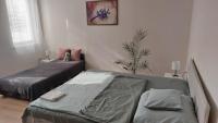 Konstantin Apartman - Ferienwohnung Szolnok