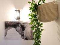 Hospedaria Portuguesa - B&B Alpiarça