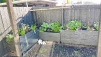 Quiet Central Dunedin Apartment & covered parking - B&B Dunedin