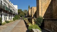 Apartamento Marquesa Valdeiglesias - Chambres d’hôtes Cordoue