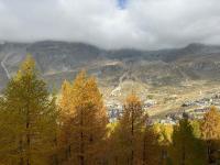 One-Bedroom Apartment with Balcony - Apartment n. 618