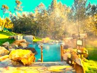 La Casa del Bosque del Agua y SPA Prexigueiro Obsequio entrada por persona a circuito termal - B&B Mondariz