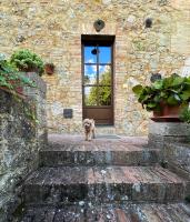 CLAUDIA VACANZA TOSCANA - Appartamento Nocciolo- 10 min da Siena - B&B Malignano