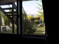 Appartement - Begane Grond