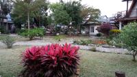 Hou Niao Fei Xing B&B - B&B Taiping