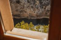 Deluxe Double Room (2 Adults + 1 Child)