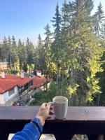 Апартаменты Гранд Ризорт с камином и видом на лес - B&B Pamporovo