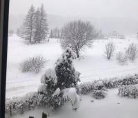 Apartament Ciśnianka - Ferienwohnung Cisna