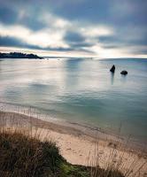 Divine Demeure Studio entier avec mezzanine pour se ressourcer en bord de mer - B&B Pénestin