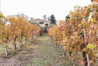 Casetta Mentuccia - B&B San Ginesio