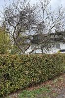 Gästehaus Fries - B&B Blankenheim