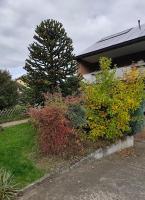 Amaleo Apartments Siegburg - B&B Siegburg