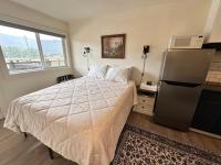 Studio Lit Queen-Size de Luxe 