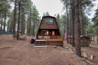 Grand Canyon Gateway Cabin with 1 Acre Pine Retreat near Rt 66 - B&B Williams