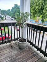 Cozy Classic with Queen Size Bed - Chambres d’hôtes Boston