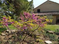 La casa delle Lune - B&B Mombaroccio