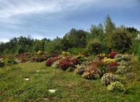 Stonecasa - B&B Le Thillot