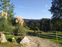 Kuhstall Suite mit Bad - B&B Nenzlingen